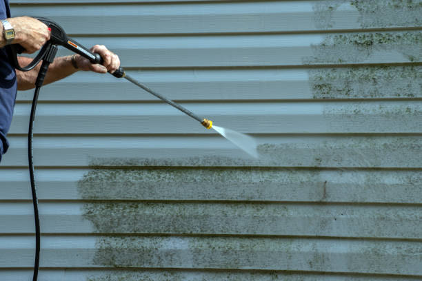 Professional Pressure Washing in Detroit Lakes, MN