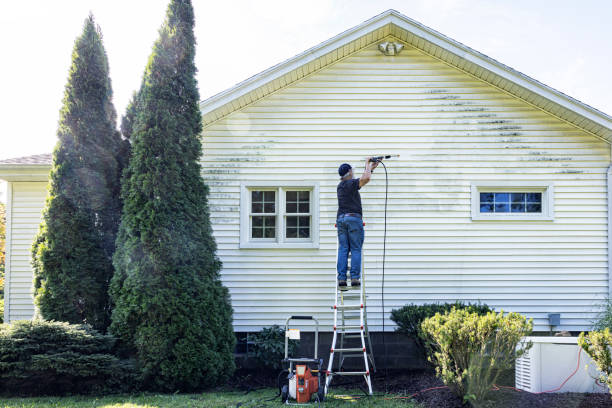 Best Deck Cleaning Services  in Detroit Lakes, MN